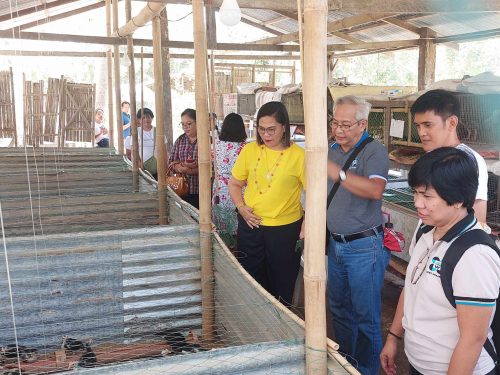 Monitoring and Evaluation of the Project titled, Development of Sustainable Breeding and Production System for Paraoakan Native Chicken in Palawan by the DOST-PCAARRD Livestock and Research Division Team