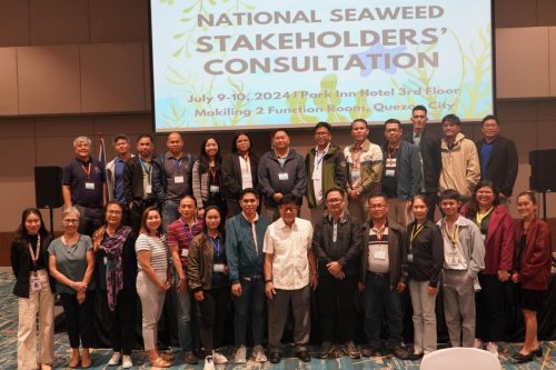 Dr. Creencia Represents WPU at National Seaweed Stakeholders Consultation