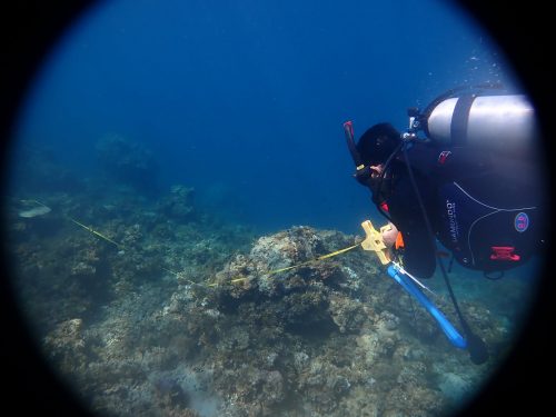 WPU EMERGE-IP Researchers Conduct Ecological Surveys in Palawan